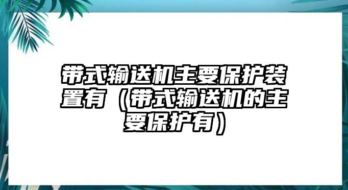 帶式輸送機(jī)主要保護(hù)裝置有（帶式輸送機(jī)的主要保護(hù)有）