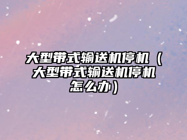 大型帶式輸送機停機（大型帶式輸送機停機怎么辦）