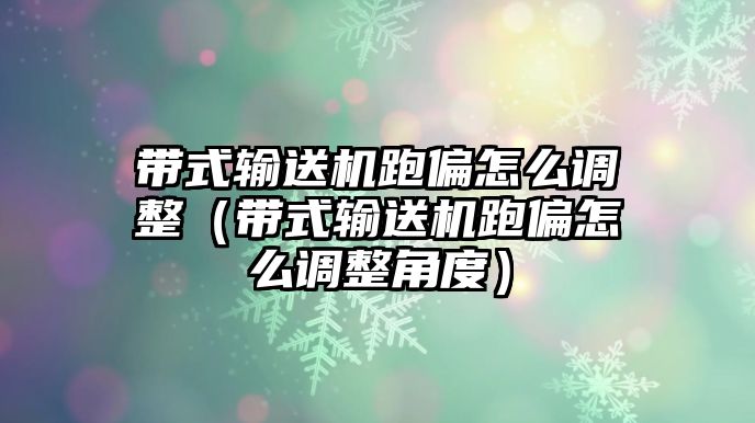 帶式輸送機跑偏怎么調整（帶式輸送機跑偏怎么調整角度）