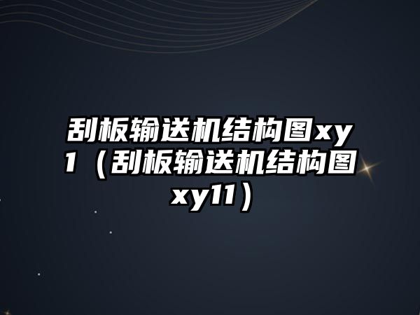 刮板輸送機結(jié)構(gòu)圖xy1（刮板輸送機結(jié)構(gòu)圖xy11）