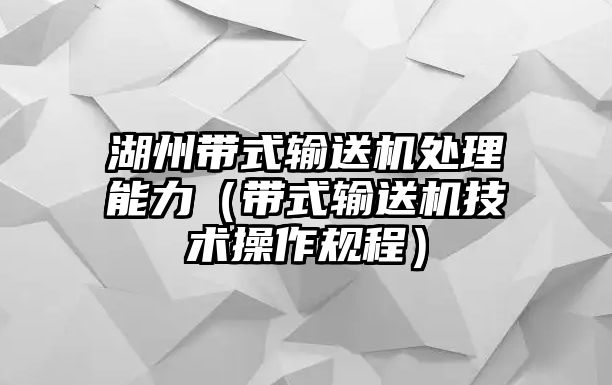 湖州帶式輸送機(jī)處理能力（帶式輸送機(jī)技術(shù)操作規(guī)程）