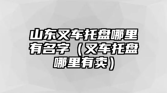 山東叉車托盤哪里有名字（叉車托盤哪里有賣）