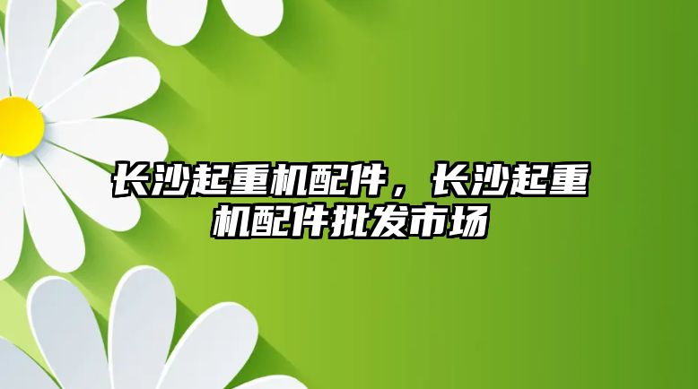 長沙起重機配件，長沙起重機配件批發(fā)市場