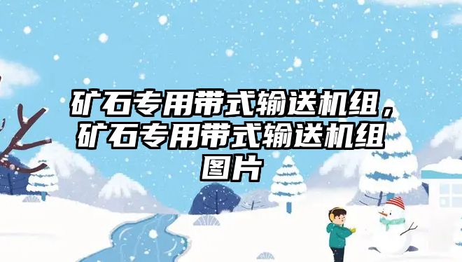 礦石專用帶式輸送機(jī)組，礦石專用帶式輸送機(jī)組圖片