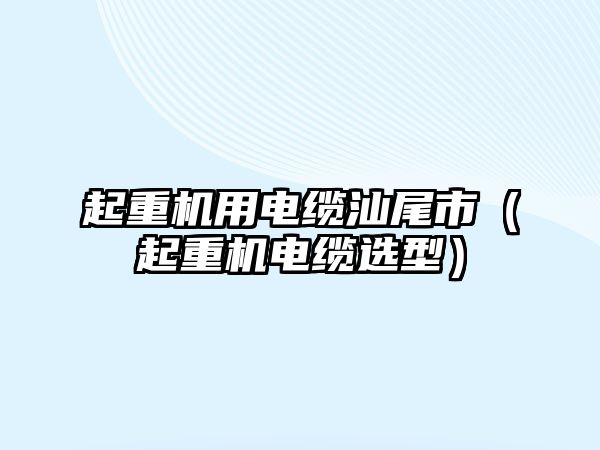 起重機(jī)用電纜汕尾市（起重機(jī)電纜選型）