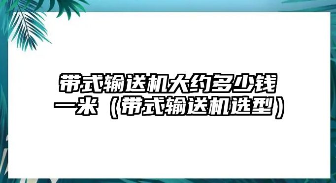 帶式輸送機(jī)大約多少錢一米（帶式輸送機(jī)選型）