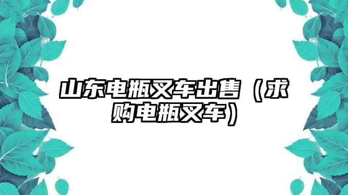 山東電瓶叉車出售（求購電瓶叉車）