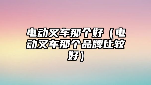 電動(dòng)叉車那個(gè)好（電動(dòng)叉車那個(gè)品牌比較好）