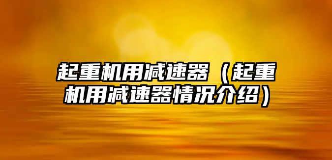 起重機(jī)用減速器（起重機(jī)用減速器情況介紹）