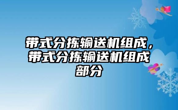 帶式分揀輸送機組成，帶式分揀輸送機組成部分