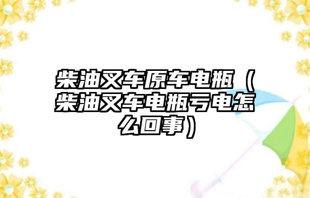 柴油叉車原車電瓶（柴油叉車電瓶虧電怎么回事）