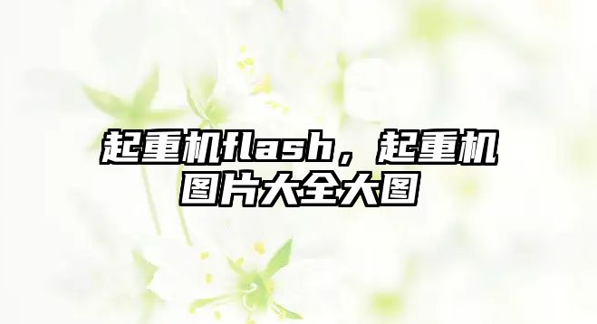 起重機(jī)flash，起重機(jī)圖片大全大圖