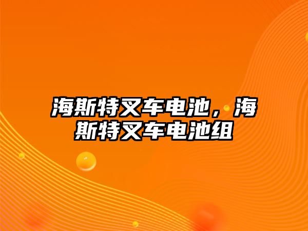 海斯特叉車電池，海斯特叉車電池組