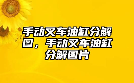 手動叉車油缸分解圖，手動叉車油缸分解圖片