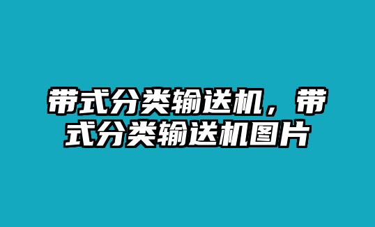 帶式分類輸送機，帶式分類輸送機圖片