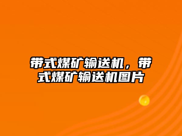 帶式煤礦輸送機，帶式煤礦輸送機圖片