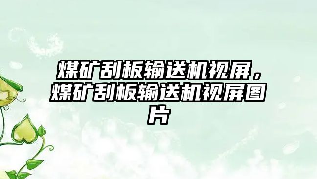 煤礦刮板輸送機視屏，煤礦刮板輸送機視屏圖片