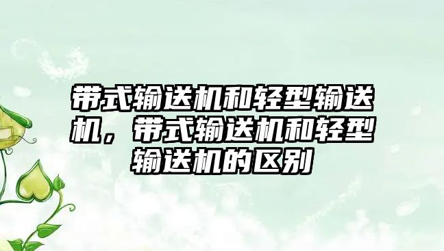 帶式輸送機和輕型輸送機，帶式輸送機和輕型輸送機的區(qū)別