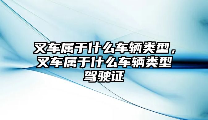 叉車屬于什么車輛類型，叉車屬于什么車輛類型駕駛證