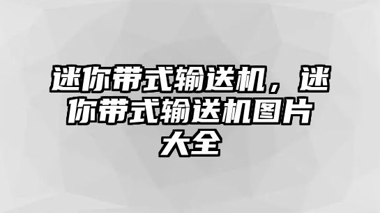 迷你帶式輸送機，迷你帶式輸送機圖片大全