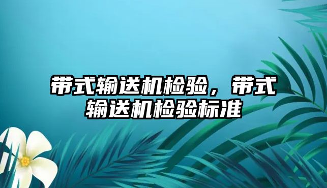 帶式輸送機檢驗，帶式輸送機檢驗標準