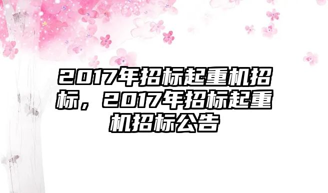 2017年招標(biāo)起重機(jī)招標(biāo)，2017年招標(biāo)起重機(jī)招標(biāo)公告