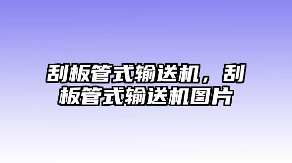 刮板管式輸送機(jī)，刮板管式輸送機(jī)圖片