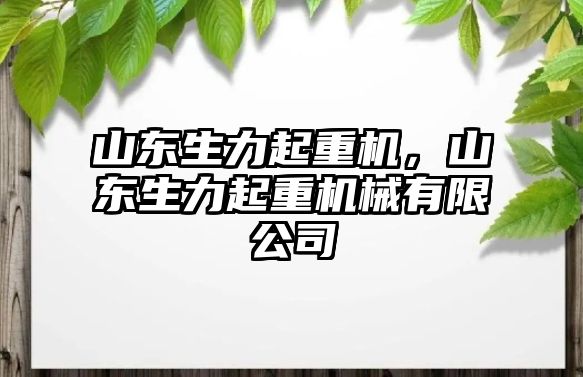 山東生力起重機，山東生力起重機械有限公司