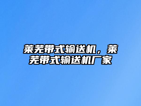 萊蕪帶式輸送機(jī)，萊蕪帶式輸送機(jī)廠家