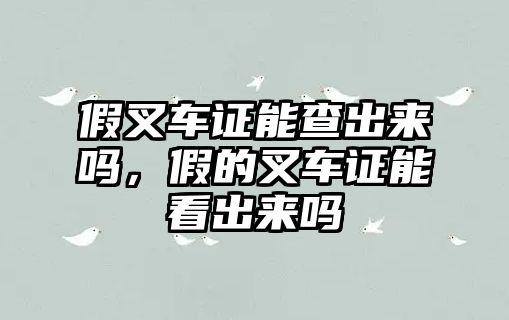 假叉車證能查出來嗎，假的叉車證能看出來嗎