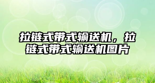 拉鏈?zhǔn)綆捷斔蜋C(jī)，拉鏈?zhǔn)綆捷斔蜋C(jī)圖片