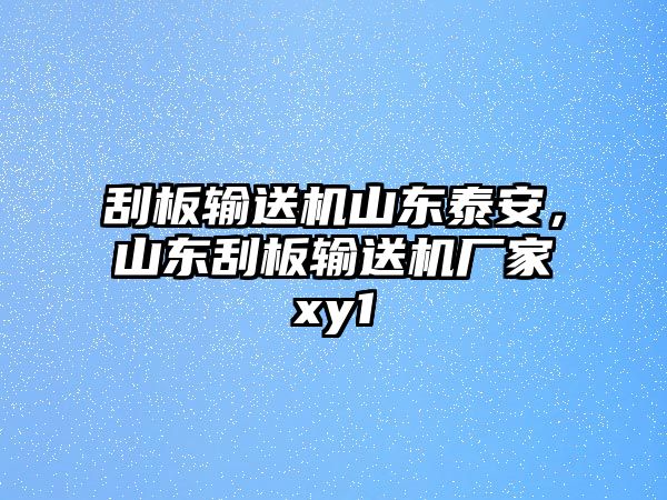 刮板輸送機(jī)山東泰安，山東刮板輸送機(jī)廠家xy1