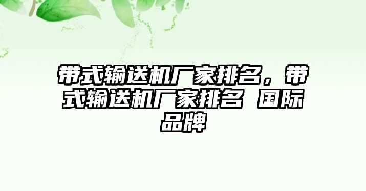 帶式輸送機(jī)廠家排名，帶式輸送機(jī)廠家排名 國際品牌