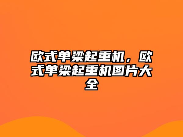 歐式單梁起重機，歐式單梁起重機圖片大全