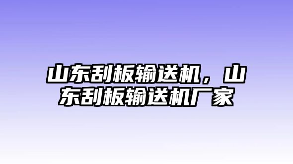 山東刮板輸送機(jī)，山東刮板輸送機(jī)廠家